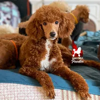 processed/02261829-ff27-45a8-8bad-1270edb4aa56/facility/dc1b04d7-77f0-4e02-8787-65f98fe0c1cd