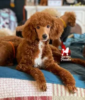 processed/02261829-ff27-45a8-8bad-1270edb4aa56/facility/dc1b04d7-77f0-4e02-8787-65f98fe0c1cd