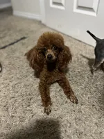 processed/02261829-ff27-45a8-8bad-1270edb4aa56/facility/dd918f81-7056-4a60-85cd-0b765c813797