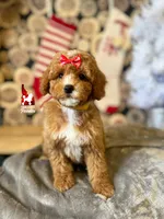 processed/02261829-ff27-45a8-8bad-1270edb4aa56/listing/2236a94d-4e2b-4dcf-a14f-39b0a750dd49/356f4a2e-2aad-4401-8e71-335f66a9255f