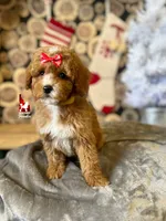 processed/02261829-ff27-45a8-8bad-1270edb4aa56/listing/2236a94d-4e2b-4dcf-a14f-39b0a750dd49/5d72f7dc-a400-44c3-a279-476717ccfa89