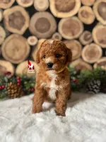 processed/02261829-ff27-45a8-8bad-1270edb4aa56/listing/2236a94d-4e2b-4dcf-a14f-39b0a750dd49/b3476167-f3e7-4d31-92bb-094621262aea