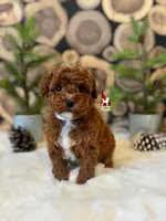 processed/02261829-ff27-45a8-8bad-1270edb4aa56/listing/712febce-94ab-4dd2-a968-fc39d542b387/0d8f51c3-fbb3-4c42-823d-8f2141cba2b6