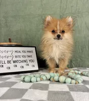 processed/022d07a0-4d3f-47ae-b8ad-440e7e5d16c6/listing/1ee3e32f-b045-410c-b829-1d81fa58faab/8620456e-ac6d-490e-9bf1-905406848ac5