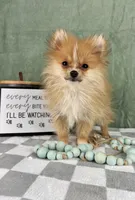 processed/022d07a0-4d3f-47ae-b8ad-440e7e5d16c6/listing/1ee3e32f-b045-410c-b829-1d81fa58faab/b2893397-174b-4b2f-9a78-cc62fb46e75d