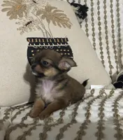 processed/022d0f92-7bc8-4ade-bba7-9dd663a8061c/facility/1f69274d-4603-4d7b-84ae-a72475190629