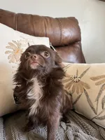 processed/022d0f92-7bc8-4ade-bba7-9dd663a8061c/facility/32cb567e-c53f-4299-b9b3-1c0840a3e869