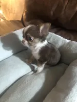 processed/022d0f92-7bc8-4ade-bba7-9dd663a8061c/facility/34c2193a-1b49-4287-861d-7dce98a1b877