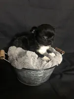 processed/022d0f92-7bc8-4ade-bba7-9dd663a8061c/facility/3b5bfbc9-74c4-4483-b971-43ae0c12a6bf