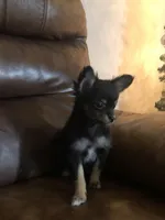 processed/022d0f92-7bc8-4ade-bba7-9dd663a8061c/facility/568818f0-c066-4418-be1a-b462161009a8