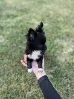 processed/022d0f92-7bc8-4ade-bba7-9dd663a8061c/facility/8b68ebd7-3dce-41af-8579-1c2bfa982628