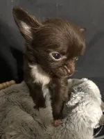 processed/022d0f92-7bc8-4ade-bba7-9dd663a8061c/facility/c33db06e-4bea-49d5-b4ca-c3d0d9e6a6b4