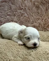 processed/02403a7b-203c-48ff-9bf8-dc861ed07dc2/listing/1b7b16d0-6099-4589-9a2c-cd1e6cba37da/20fe582a-bfe5-4f61-bcfb-d0b15054a5cb