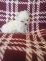 processed/02403a7b-203c-48ff-9bf8-dc861ed07dc2/listing/1b7b16d0-6099-4589-9a2c-cd1e6cba37da/9b2128c0-034c-4120-87f7-ce0c7656fba5