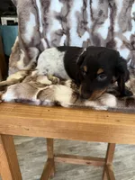 processed/02403a7b-203c-48ff-9bf8-dc861ed07dc2/listing/3607e656-62b9-4da0-8c49-f22f7f8c40b0/11cbb9b1-a570-49c9-be03-a7d541a9db33