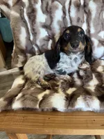 processed/02403a7b-203c-48ff-9bf8-dc861ed07dc2/listing/3607e656-62b9-4da0-8c49-f22f7f8c40b0/3875a5e4-daa1-4676-a2a0-7f0d4f76be44