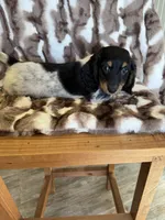 processed/02403a7b-203c-48ff-9bf8-dc861ed07dc2/listing/3607e656-62b9-4da0-8c49-f22f7f8c40b0/dc115783-a3e8-4be8-8532-06e4affc3218