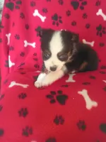 processed/02403a7b-203c-48ff-9bf8-dc861ed07dc2/listing/38465256-35e8-4274-8ed9-4e003677bd38/b430b5ba-f0ab-4583-b892-77854015d076