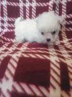 processed/02403a7b-203c-48ff-9bf8-dc861ed07dc2/listing/5419db91-8a53-4b44-8a04-8fcc70879a54/6ea68a83-477f-471a-8eaa-d88027ac26ab