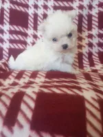 processed/02403a7b-203c-48ff-9bf8-dc861ed07dc2/listing/5419db91-8a53-4b44-8a04-8fcc70879a54/6f5fc5a5-b30c-4450-8946-6b9cb8d23014