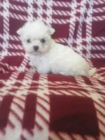 processed/02403a7b-203c-48ff-9bf8-dc861ed07dc2/listing/5419db91-8a53-4b44-8a04-8fcc70879a54/d05ad9bc-82f9-4dbf-a5b4-1dd73d5b7b7d