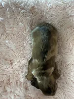 processed/02403a7b-203c-48ff-9bf8-dc861ed07dc2/listing/8f51e44a-037b-4f87-af16-c9c5d163c138/b8b8f3a3-c456-407c-be2e-8e35ac780a36