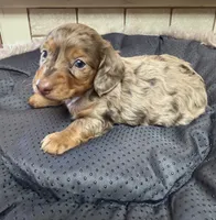 processed/02403a7b-203c-48ff-9bf8-dc861ed07dc2/listing/be75f6fe-25f2-4160-b986-fdaa4d9f3835/0b108c09-5874-4fd4-89a7-b1df0e83123b