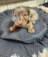 processed/02403a7b-203c-48ff-9bf8-dc861ed07dc2/listing/be75f6fe-25f2-4160-b986-fdaa4d9f3835/4a168f0e-c696-4a75-8707-8398bebf2149