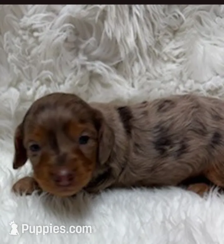 processed/02403a7b-203c-48ff-9bf8-dc861ed07dc2/listing/be75f6fe-25f2-4160-b986-fdaa4d9f3835/8b124861-e4cb-493e-bbfb-5d40fc505f88