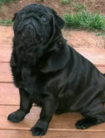 processed/02465bc8-3822-4949-b190-6a44c8e53c4d/facility/0b783b02-7187-435f-94a2-599f35a67d3c