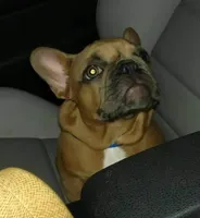 processed/02465bc8-3822-4949-b190-6a44c8e53c4d/facility/0f53e7e9-6e5c-4a56-be38-c9a85b0ed560