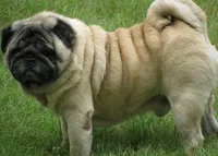 processed/02465bc8-3822-4949-b190-6a44c8e53c4d/facility/29b91ce4-c9c8-4543-b67a-3124b00870c1