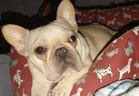 processed/02465bc8-3822-4949-b190-6a44c8e53c4d/facility/a4d6a5f6-a2cc-450f-b9a3-5ccae93c0b0b