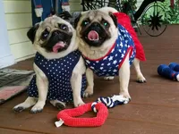 processed/02465bc8-3822-4949-b190-6a44c8e53c4d/facility/aed4d3cc-b006-4520-bfc5-1249f59f2c46