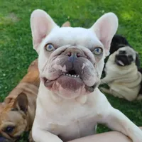 processed/02465bc8-3822-4949-b190-6a44c8e53c4d/facility/b8b122e6-6c91-4f1d-9e16-d15d9f00b59e