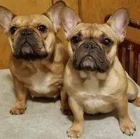 processed/02465bc8-3822-4949-b190-6a44c8e53c4d/facility/c746aadb-491f-4cd3-bf5b-c44c969e21d7