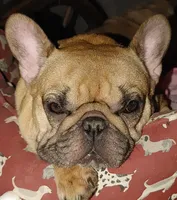 processed/02465bc8-3822-4949-b190-6a44c8e53c4d/facility/d1d71a33-e81c-4768-ad1f-3149b074ca44