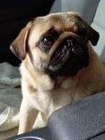 processed/02465bc8-3822-4949-b190-6a44c8e53c4d/facility/f7ee4d87-683f-4112-8353-10e5e931550d