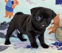 processed/02465bc8-3822-4949-b190-6a44c8e53c4d/listing/835bcf05-ded4-4e7c-b42c-020ae5418893/46489905-e875-48f6-adcd-1780d419c8b6