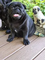 processed/02465bc8-3822-4949-b190-6a44c8e53c4d/listing/835bcf05-ded4-4e7c-b42c-020ae5418893/5013a9f7-1d05-406d-946e-ed0e277c3752