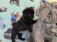 processed/02465bc8-3822-4949-b190-6a44c8e53c4d/listing/835bcf05-ded4-4e7c-b42c-020ae5418893/686d8131-617e-45c1-888d-5690dbe39bc1