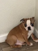 processed/025b9595-ef9e-44c6-b602-6d92091a8e22/listing/6bb741e6-561b-451a-8126-b85aa8e78562/76954be4-f4ca-4db3-869a-7461d7abab3b