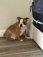 processed/025b9595-ef9e-44c6-b602-6d92091a8e22/listing/6bb741e6-561b-451a-8126-b85aa8e78562/7b1c6ceb-09bd-46fb-b7db-aee7bcef248a