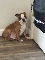 processed/025b9595-ef9e-44c6-b602-6d92091a8e22/listing/6bb741e6-561b-451a-8126-b85aa8e78562/7c077506-f4f6-43b3-9bd7-ebc6879cb035