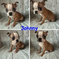 processed/025b9595-ef9e-44c6-b602-6d92091a8e22/listing/6bb741e6-561b-451a-8126-b85aa8e78562/8ca2720d-e012-43a4-94a9-be3fe0de8610