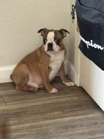 processed/025b9595-ef9e-44c6-b602-6d92091a8e22/listing/6bb741e6-561b-451a-8126-b85aa8e78562/eb73e685-4e49-4871-87b1-fe4a71f2de98