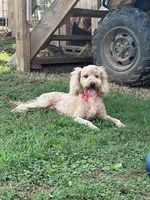 processed/025c8169-37b8-40a6-a592-b958c2c3cb58/facility/0b7bc6fe-1581-4aed-bd49-87053e4375ec