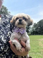 processed/025c8169-37b8-40a6-a592-b958c2c3cb58/facility/953afa7f-e8d1-483e-b51b-e89abb07bb6a