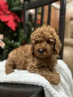 processed/025c8169-37b8-40a6-a592-b958c2c3cb58/facility/c152062f-6c81-4441-9a97-5c36f43581f2