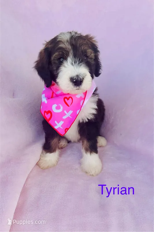 Tyrian